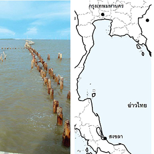 โครงการศึกษา สำรวจและวางแผนแนวทางการพัฒนาแหล่งท่องเที่ยวเชื่อมโยงตามแนวชายฝั่งอ่าวไทย